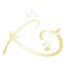logo hotel dana solo
